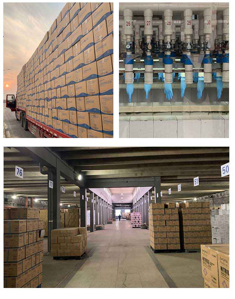 Gatamo Disposable Medical Powder free Clear Vinyl PVC Gloves PVC